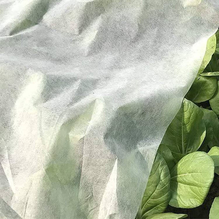 Non Woven Fabric Plant Cover